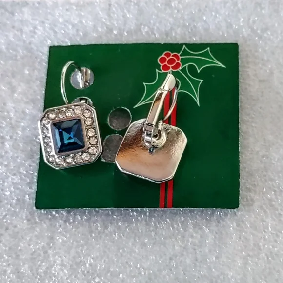 Leverback Blue Zircon Drop Earrings - Picture 12 of 15